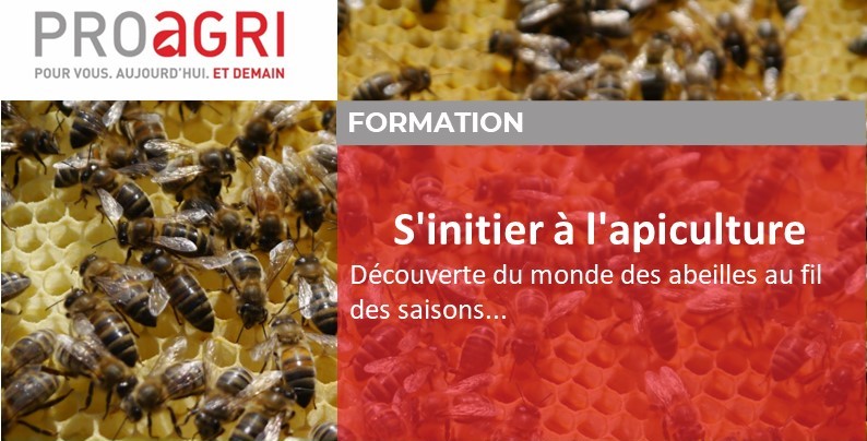 Alp'abeille - Produits et matériel d'apiculture, pour la ruche, la